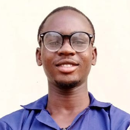 Opeyemi Adetokun