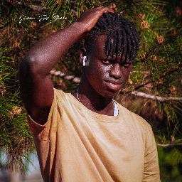 MANFRED FIRMAIN BADJI