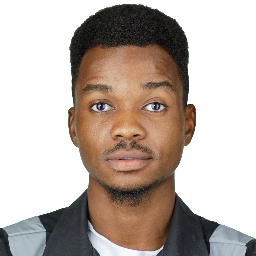 AWOSANYA  DAMILOLA 