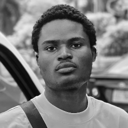 Adekoya Pelumi  Emmanuel 
